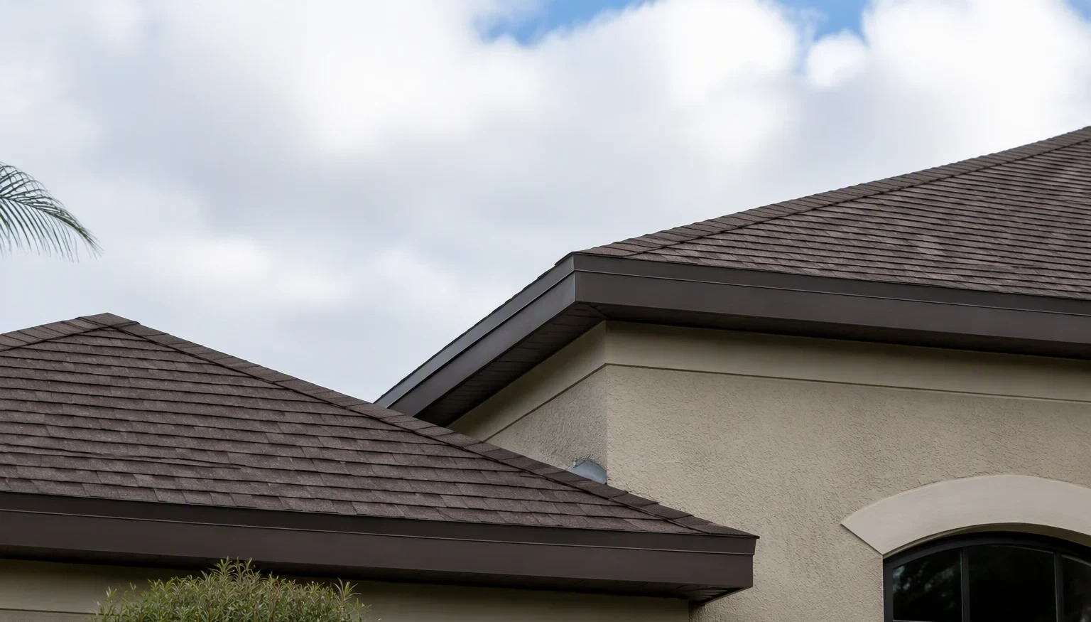 The 12 Entry Points Pests Use to Get Into Your Home